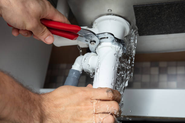 Best Flooded house restoration  in Pendleton, SC