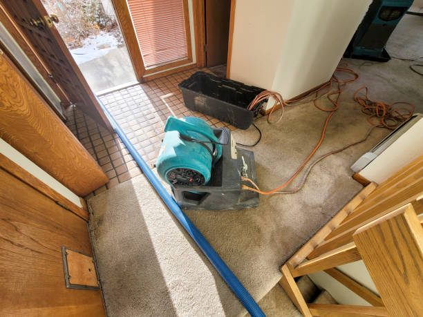 Best Professional water damage repair  in Pendleton, SC