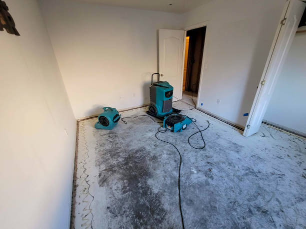 Best Ceiling water damage repair  in Pendleton, SC