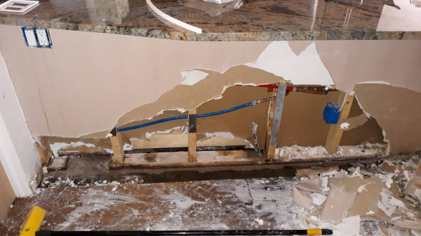 Best Water damage contractors near me  in Pendleton, SC