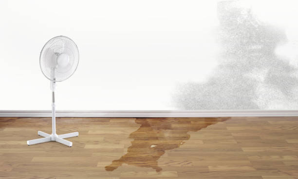 Best Water damage contractors near me  in Pendleton, SC