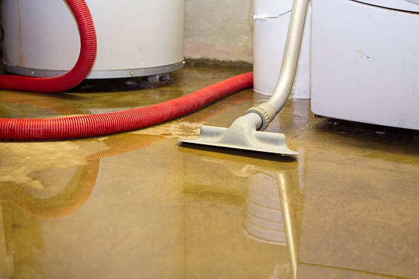 Best Water damage restoration near me  in Pendleton, SC
