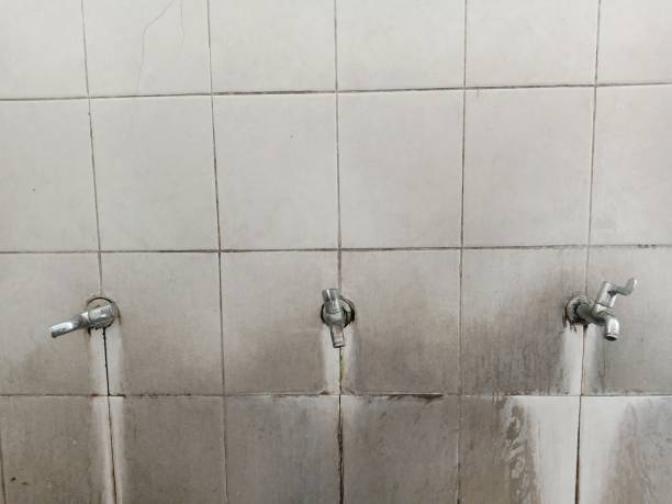 Best Commercial water damage restoration  in Pendleton, SC