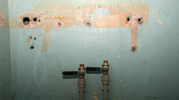 Best Water damage restoration cost  in Pendleton, SC