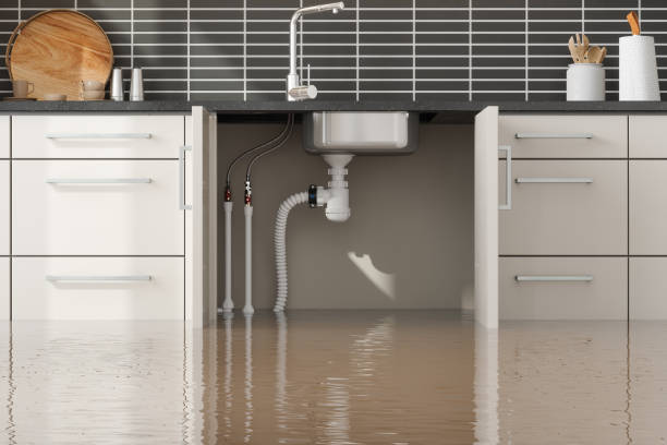 Best Water damage restoration process  in Pendleton, SC