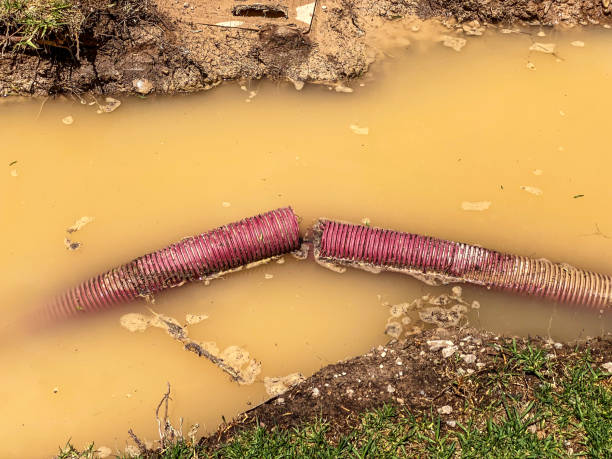 Best Water damage restoration near me  in Pendleton, SC