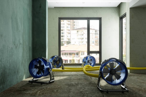 Best Commercial water damage restoration  in Pendleton, SC