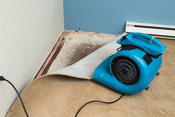 Best 24-hour water damage restoration  in Pendleton, SC